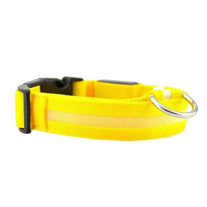 LED-lichthalsband Geheel Lichtgevend 's Nachts Anti-verlies USB Oplaadbare Halsband - Pet Dog ®