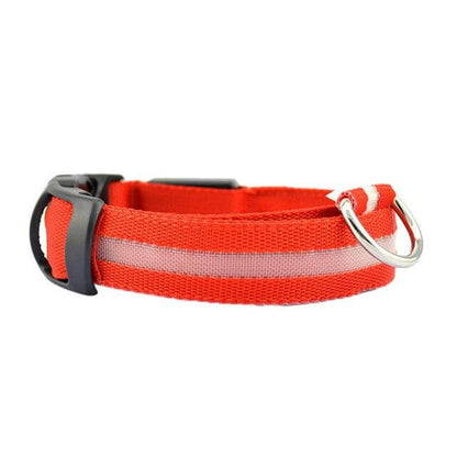 LED-lichthalsband Geheel Lichtgevend 's Nachts Anti-verlies USB Oplaadbare Halsband - Pet Dog ®