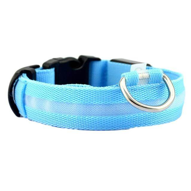 LED-lichthalsband Geheel Lichtgevend 's Nachts Anti-verlies USB Oplaadbare Halsband - Pet Dog ®