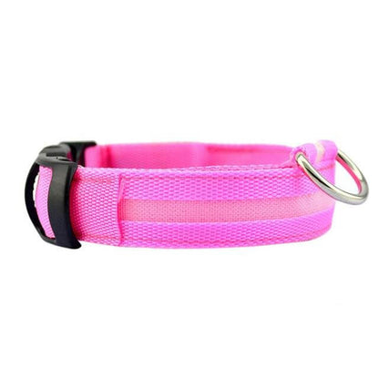 LED-lichthalsband Geheel Lichtgevend 's Nachts Anti-verlies USB Oplaadbare Halsband - Pet Dog ®