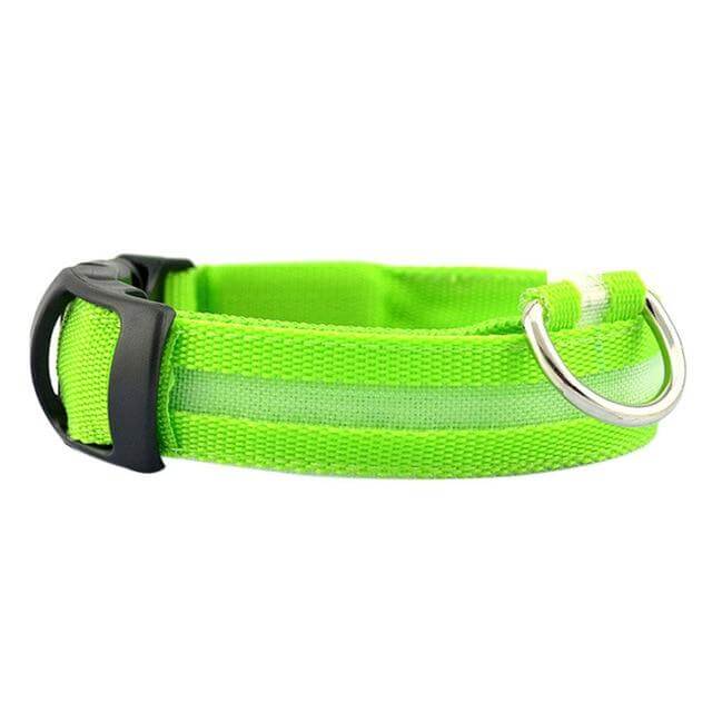 LED-lichthalsband Geheel Lichtgevend 's Nachts Anti-verlies USB Oplaadbare Halsband - Pet Dog ®