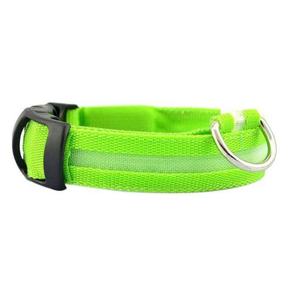 LED-lichthalsband Geheel Lichtgevend 's Nachts Anti-verlies USB Oplaadbare Halsband - Pet Dog ®