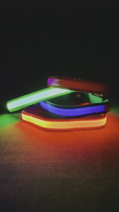 LED-lichthalsband Geheel Lichtgevend 's Nachts Anti-verlies USB Oplaadbare Halsband - Pet Dog ®